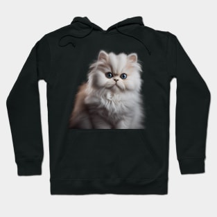 Persian Cat - A Sweet Gift Idea For All Cat Lovers And Cat Moms Hoodie